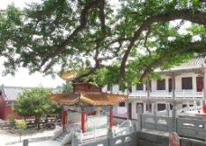 梅县客天下绿色满天下图片_国内旅游_旅游摄