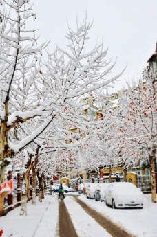 城市雪景图片