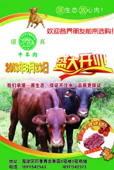 清真生牛羊肉宣传彩页图片