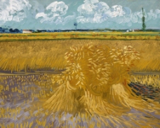 小麦梵高作品图片