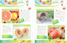 水果宣传水果网站宣传单图片