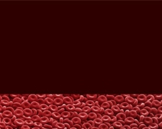 血细胞ppt模板