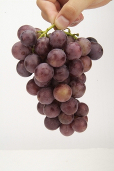 葡萄 水果图片
