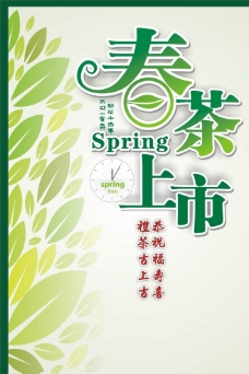 spring春茶上市图片