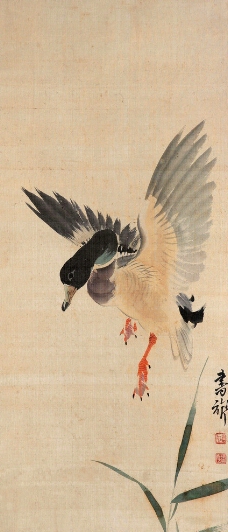 临武鸭下载工笔画鸭子手绘线描黑白动物矢量图工笔画鸭子黄旸写意花鸟