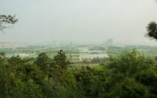凤冠山上俯瞰新城区图片