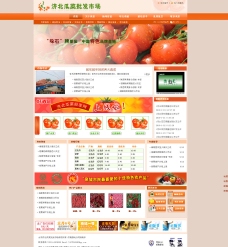 济阳番茄市场图片
