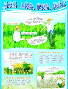 农业保险海报图片