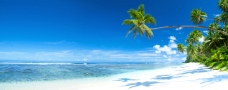 度假高清椰树大海蓝天沙滩图片
