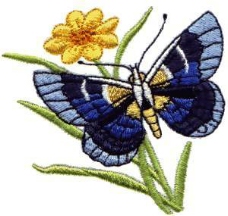 绣花 动物 昆虫 色彩 蓝色 免费素材