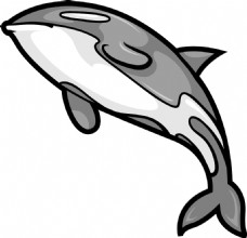 向量的鲸鱼的吉祥物