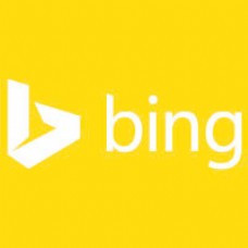 Bing新标识2013
