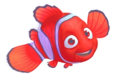 海洋动物位图动物鱼海洋生物色彩免费素材