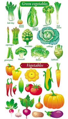 健康蔬菜健康绿色美味蔬菜矢量素材