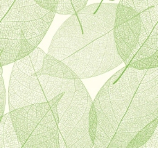 其他生物手绘线条绿叶树叶图片