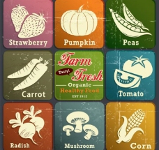 豌豆复古蔬菜标签图片