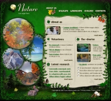 欧美风格绿色自然生态保护区网页模板