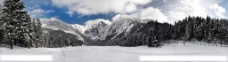雪山风景雪山树林与雪地风景图片