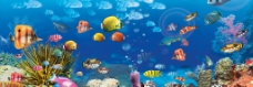 海底生物世界图片