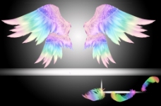 天之翼彩色天使之翼