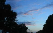 夕阳下的树木天空图片