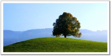 环境全景绿色原野树全景图风景3d设计贴图环境素材