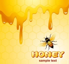 潮流素材蜂蜜蜂巢蜜蜂图片