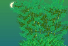 月光下的凤尾竹图片