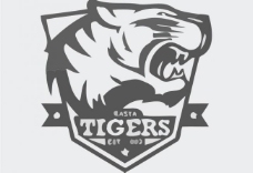 经典英文字体老虎logo图片