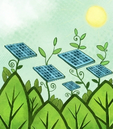 太阳能绿叶图片