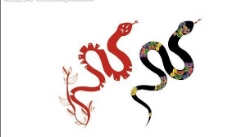 春节蛇年图片