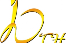 蛇年十周年logo图片