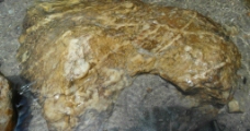 水中石头图片