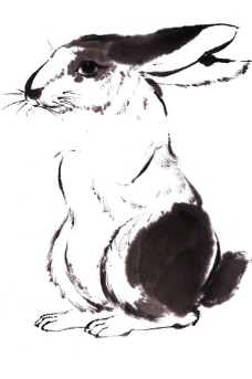 绘画兔图片