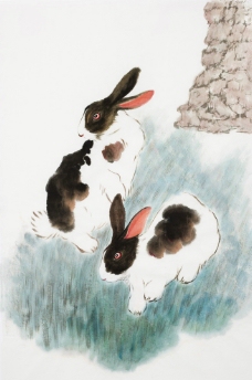 绘画兔图片