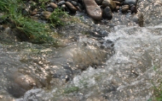 飞溅的河水 河水急湍图片