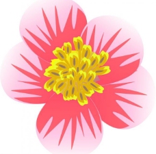 大自然粉色的花朵素材图片