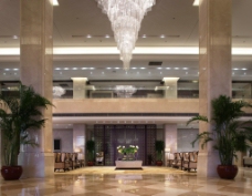 五星级酒店酒店大厅图片