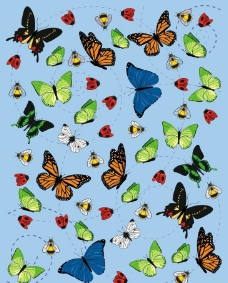 昆虫蝴蝶卡通蝴蝶昆虫图片