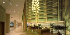 五星级酒店大厅图片