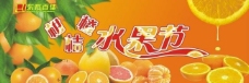 柑桔橙水果节图片