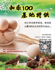鸡蛋柴鸡蛋店招海报图片