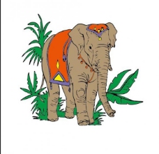 其他生物椰子树大象图片