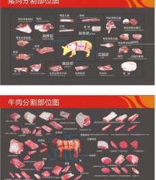 猪矢量素材猪肉及牛肉分割图图片
