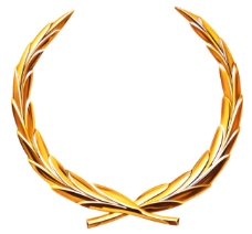 金质徽标logo