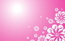 欧式边框粉色花纹背景图片