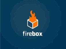 商品火焰logo图片
