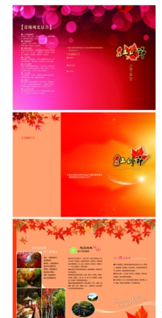 红叶 红叶节 枫叶图片