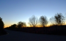 南湖湿地公园的黄昏图片