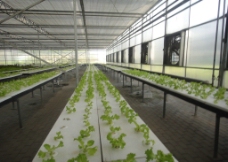 植物培育展厅图片